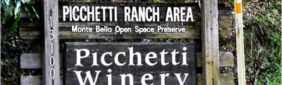 Picchetti Winery – Friday, June 2, 2017 (Private Event)